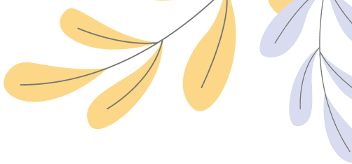 Bộ sưu tập ví cứng tốt nhất năm 2025